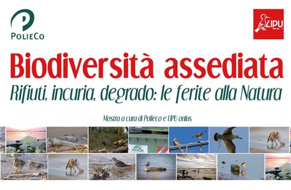 MOSTRA FOTOGRAFICA: "Biodiversità assediata. Rifiuti, incuria, degrado: le ferite alla Natura