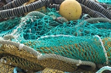 Rifiuti raccolti e prodotti in mare, progetti per i pescatori a tutela dell'ambiente