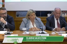Lo Schema Nazionale Made Green in Italy: una opportunità per le imprese produttrici dei beni in polietilene