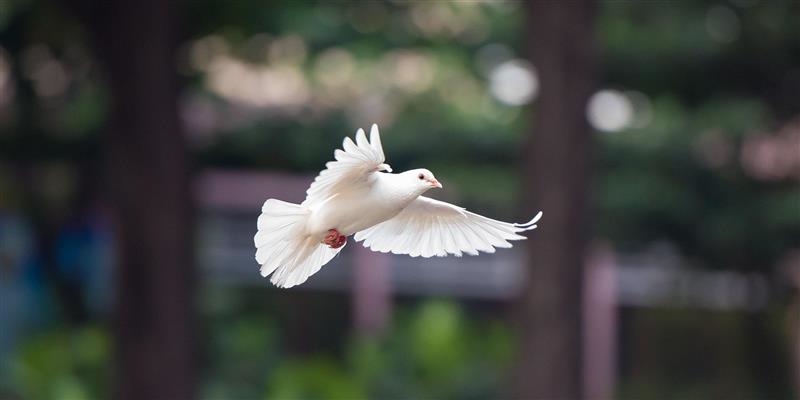 CHIUSURA UFFICI POLIECO