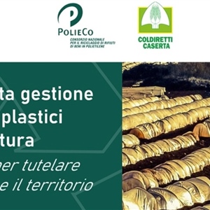 Rifiuti plastici in agricoltura